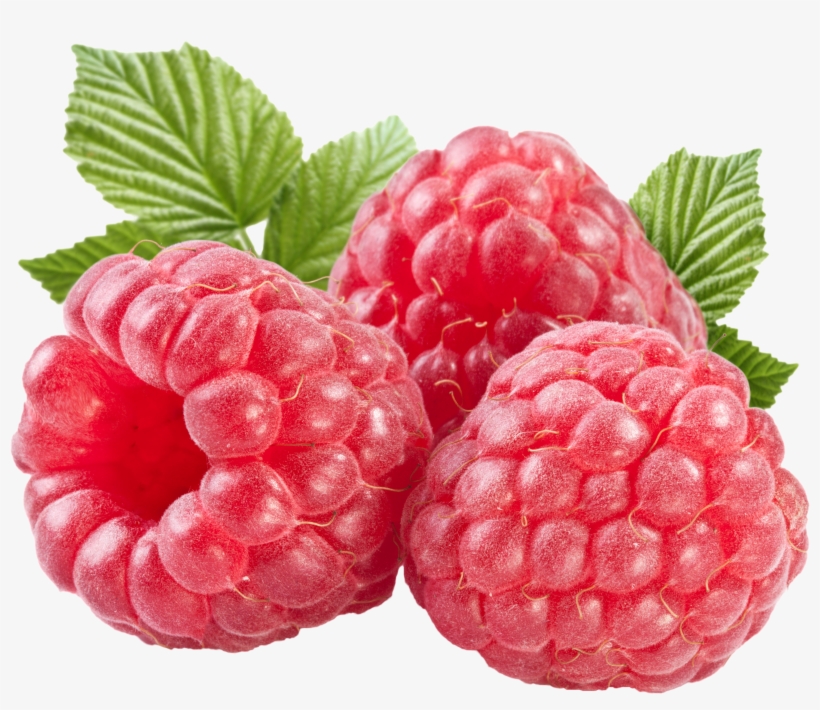 Instagram Png Transparent, transparent png #575088
