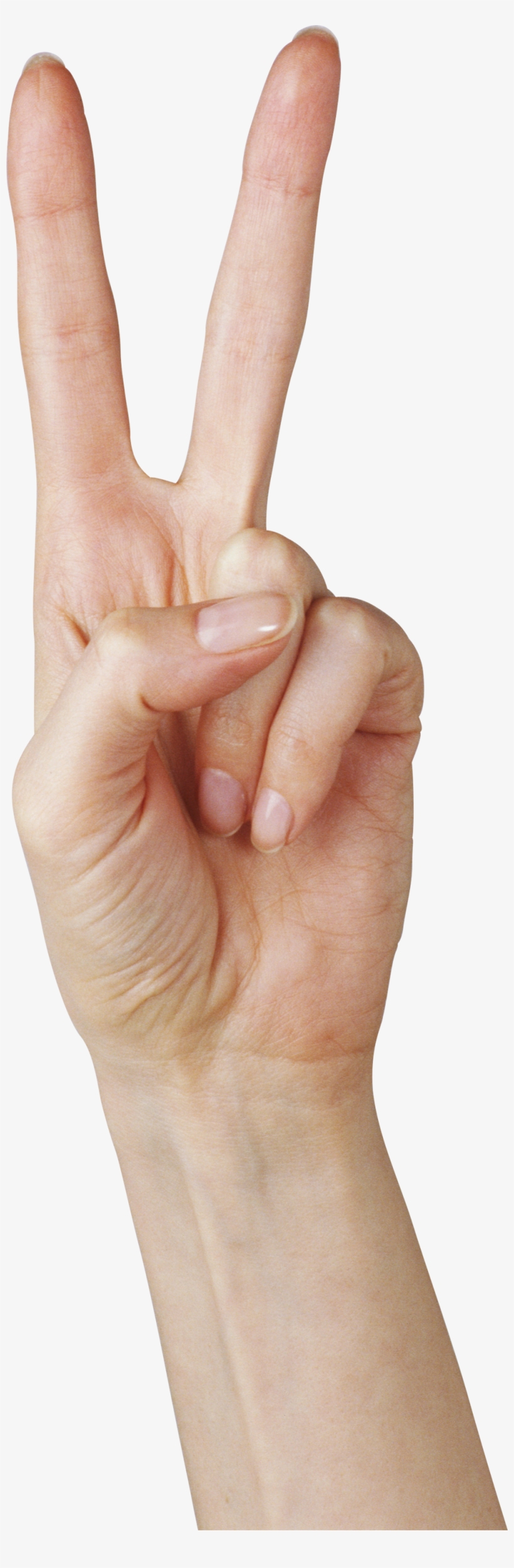 Hands Png Free Images - Hand 2 Png, transparent png #575357