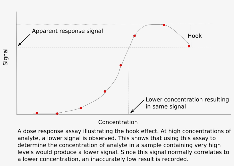 Hook Effect - Hook Effect Prolactin, transparent png #575381