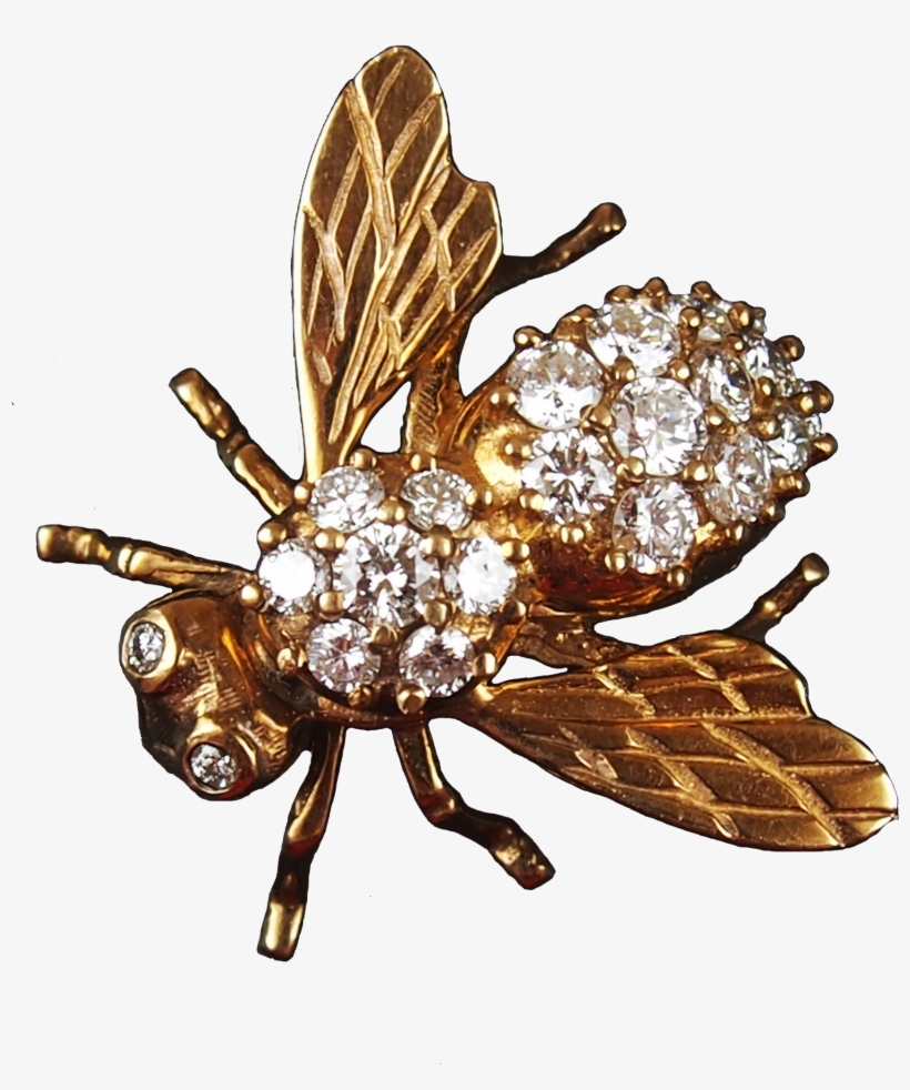 Honey Brooch K Gold - Beetle Brooches Jewelry Png Transparente, transparent png #578849