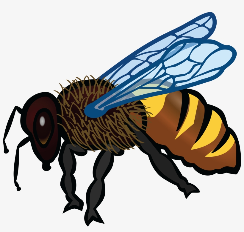 Free Clipart Of A Bee - Clip Art Animals Coloured, transparent png #579039