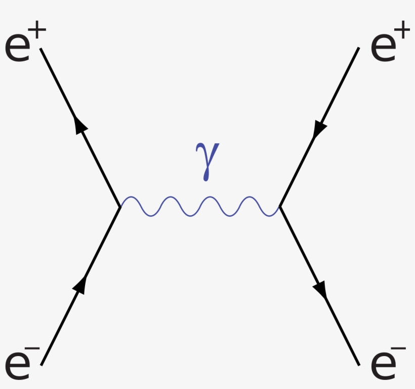 Feynman Diagram Electron Positron Annihilation, transparent png #579236