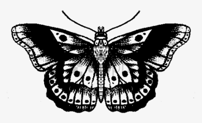 Butterfly Tattoo Designs Png Transparent Images - Tatuaje Harry Styles Mariposa, transparent png #579467