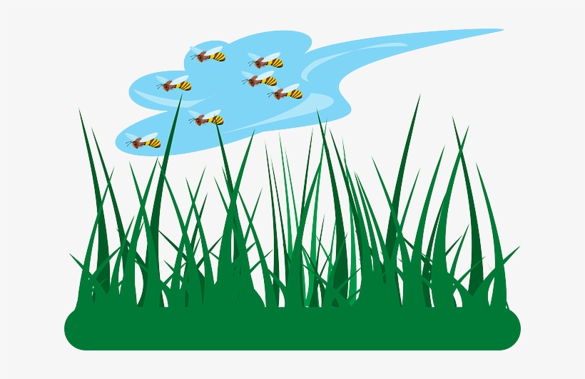 Cartoon, Sky, Grass, Flying, Over, Bees, Fly, Bee - Jardin Dibujo Png, transparent png #579483
