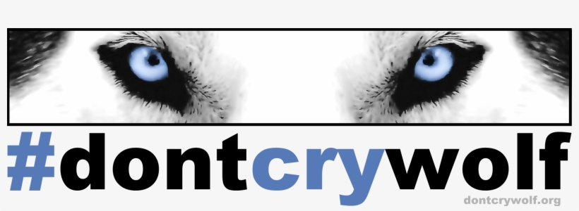 Dontcrywolf-eyes - She Wolf - Sapphire - Download, transparent png #579825
