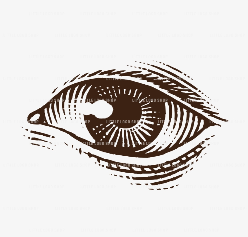 Circle, transparent png #579871