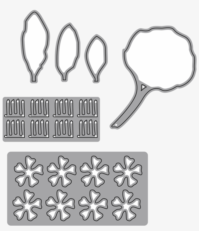 Garden Notes - Rhododendron - Rhododendron, transparent png #5700495