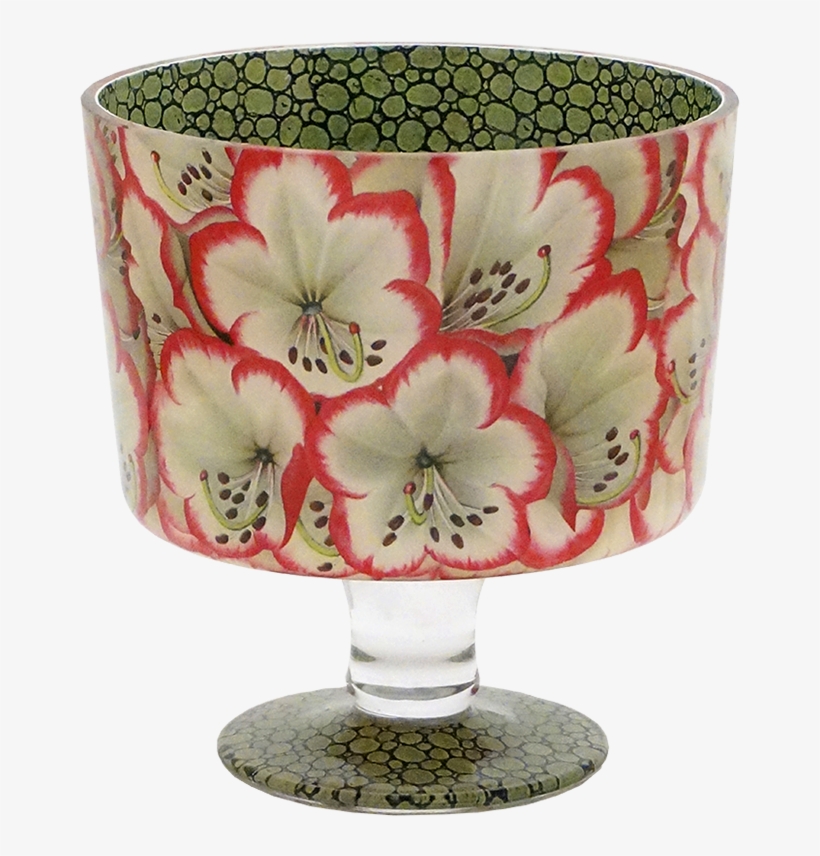 Rhododendron, transparent png #5700848