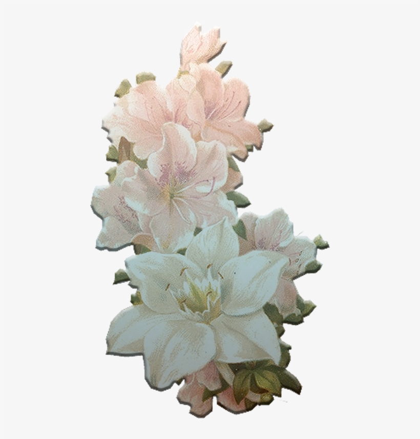 Introducción, transparent png #5701010