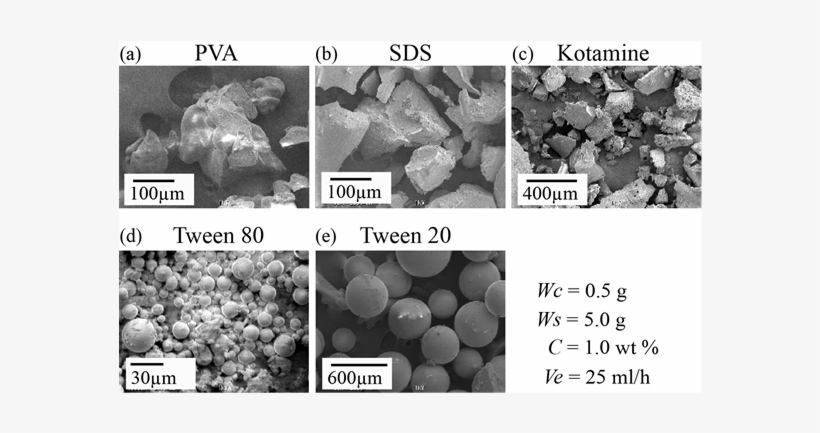 Sem Photographs Of Polymer Composites Particles, transparent png #5701071
