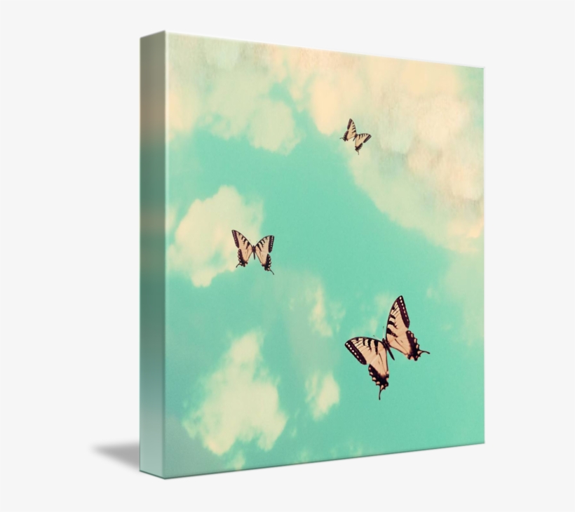 Mkc Photography Butterfly Sky Canvas - Papilio Machaon, transparent png #5702632