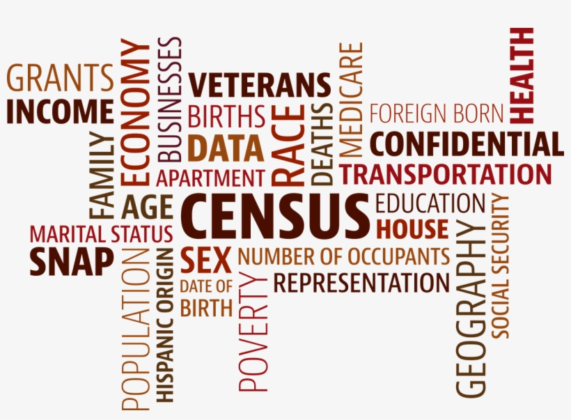 We Have Discussed The Value Of Census Records Before - Census Word, transparent png #5702912