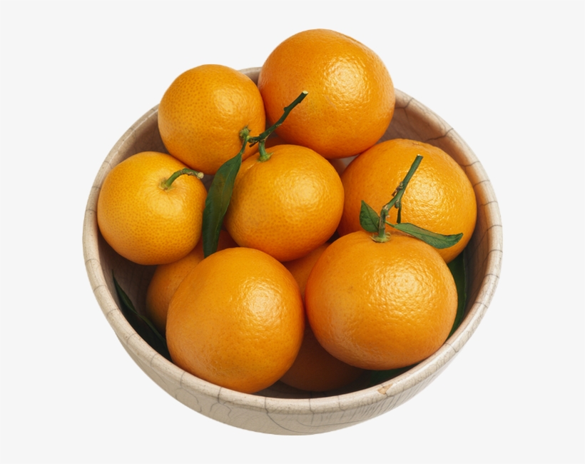 Agrumes - Citrus × Sinensis, transparent png #5705744