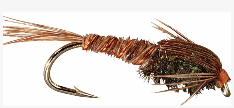Pheasant Tail Flies - White River Fly Shop Pheasant Tail Flies - 12 Pack, transparent png #5706440