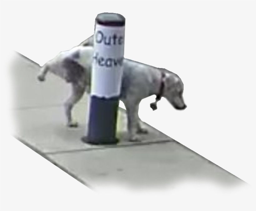 Post - Longdog, transparent png #5707420