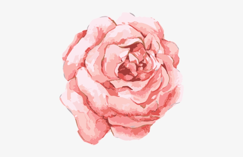 Watercolor Rose - Transparent Watercolor Flower Clipart, transparent png #5708447