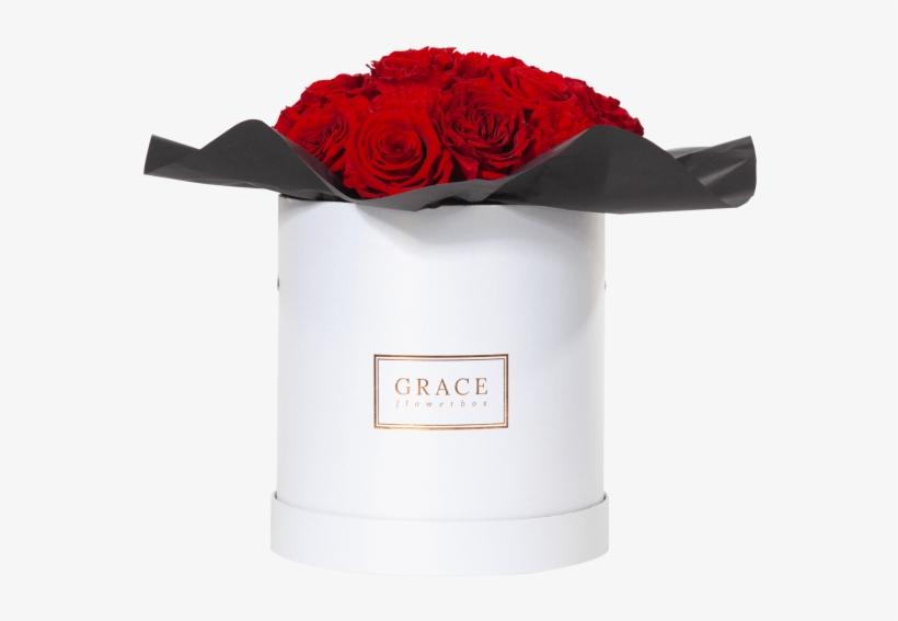 Atomic Red, transparent png #5708941