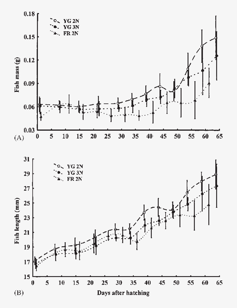 Growth Rate In Mass And Length (b) From Hatching To - Diagram, transparent png #5709972