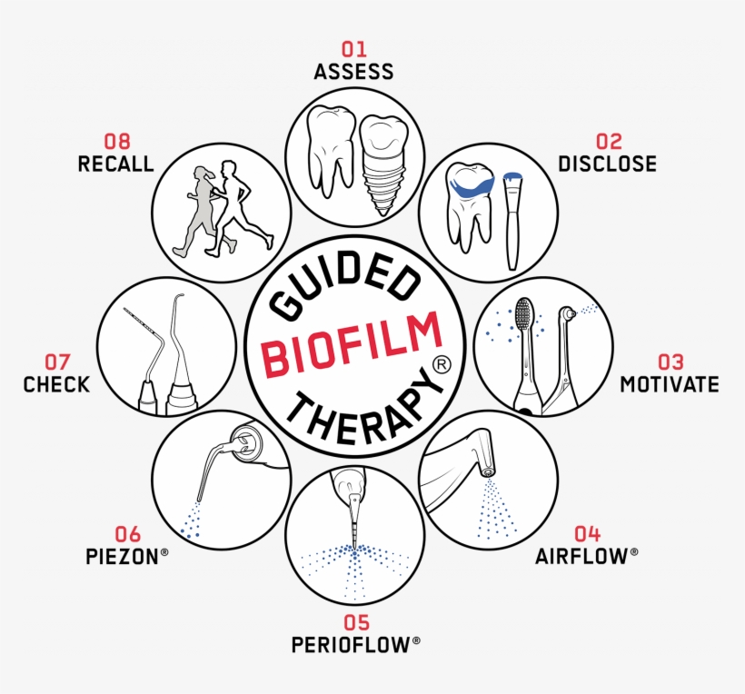 Gbt Compass - Mon, transparent png #5710799