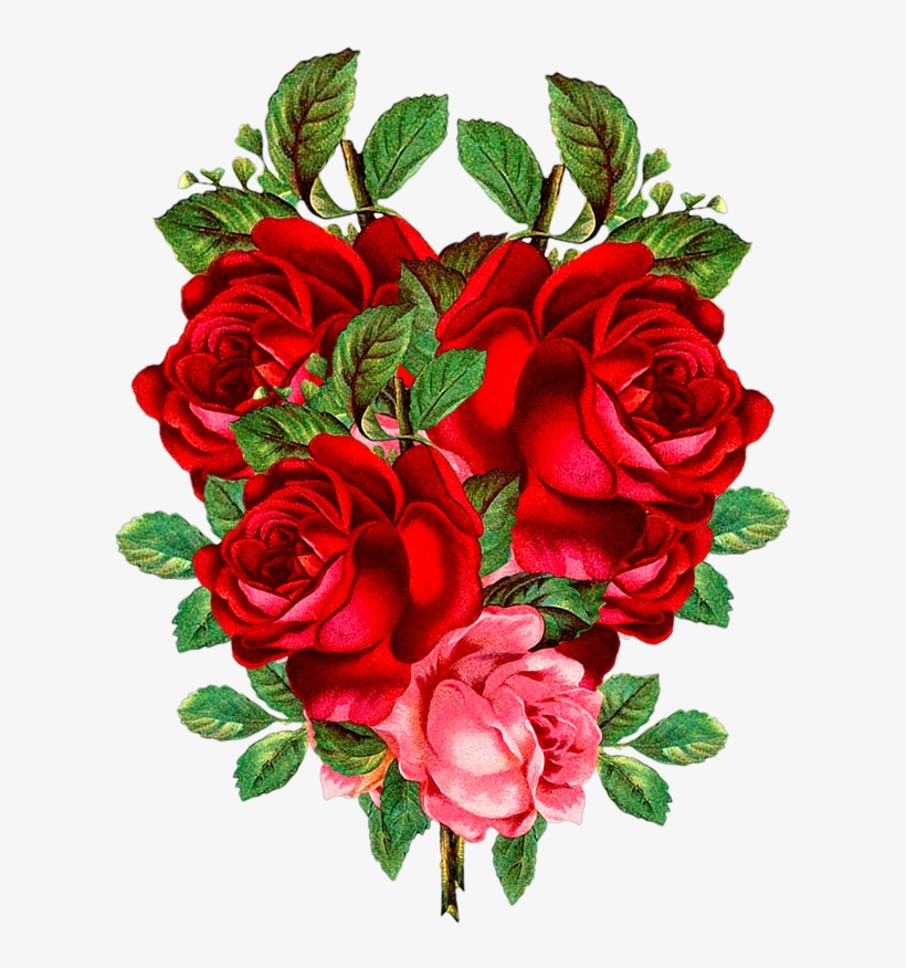 Red Rose Png, Flower Png Images, Red Flowers, Banners, - Hours Of Youth [book], transparent png #5712489