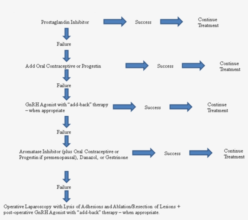Treatment Algorithm For Pain Associated With Endometriosis - Therapy, transparent png #5713133