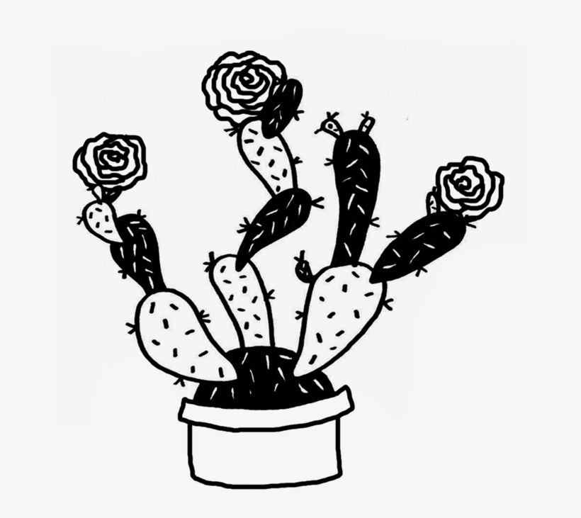 By D - B - Jones - Cactus Rose Restaurant & Tequila Bar, transparent png #5713230