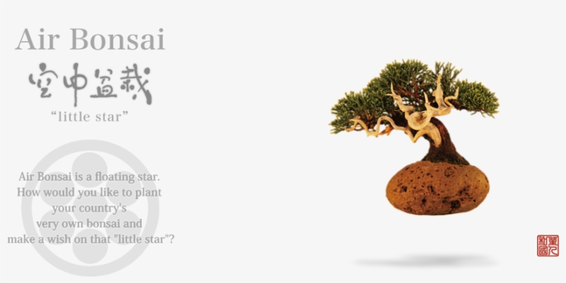 Hoshinchu Air Bonsai Garden - Product Hunt, transparent png #5714373
