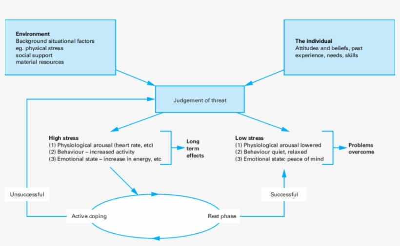 A Model Of Stress And Its Management - Factors Influencing Job Stress, transparent png #5714376