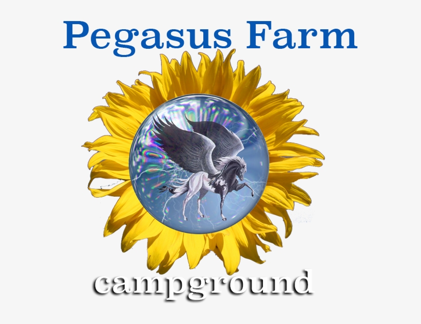 Pegasus Farm Campground - Pegasus, transparent png #5714779