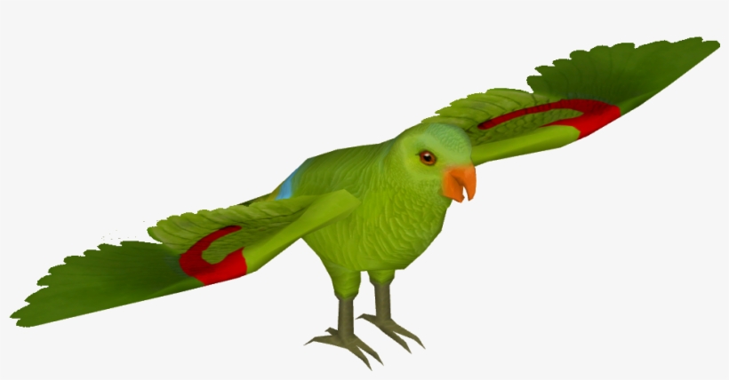 Red Winged Parrot 01 - Wiki, transparent png #5714842