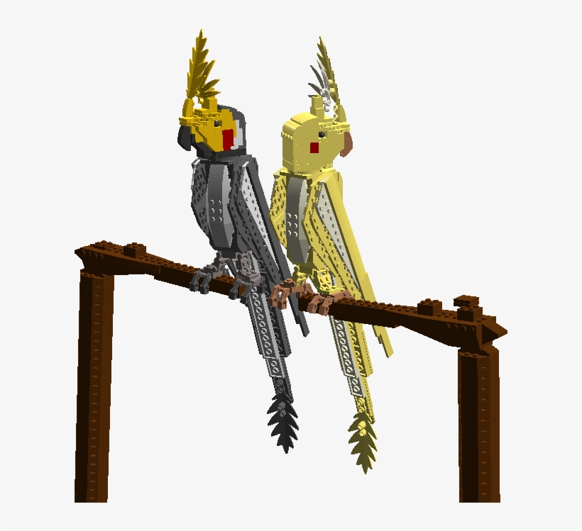 Cockatoo, transparent png #5715164