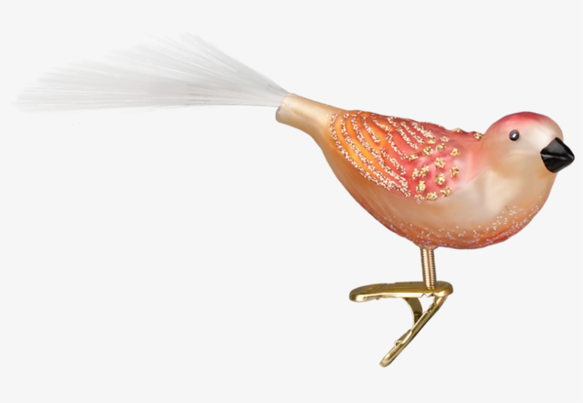 Old World Christmas Just Peachy Song Bird Glass Ornament - Putti Fine Furnishings, transparent png #5715396