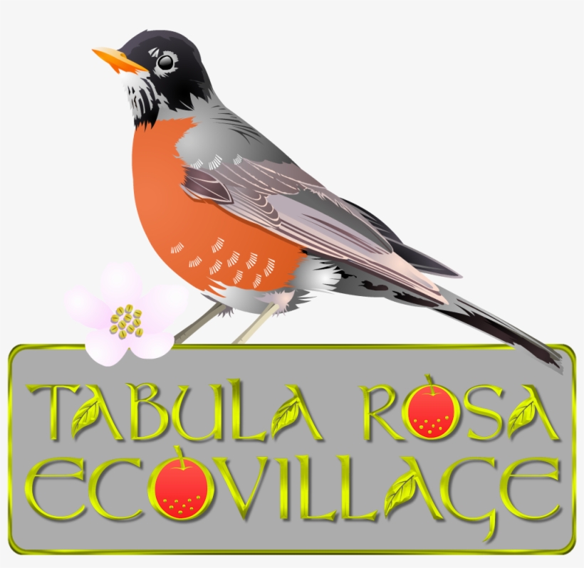 Mobirise, transparent png #5715729