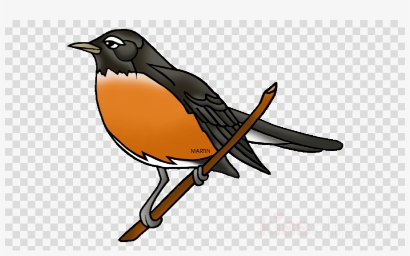 Bird Robin Transparent Background Clipart European - Plants Are Important For Us, transparent png #5716184