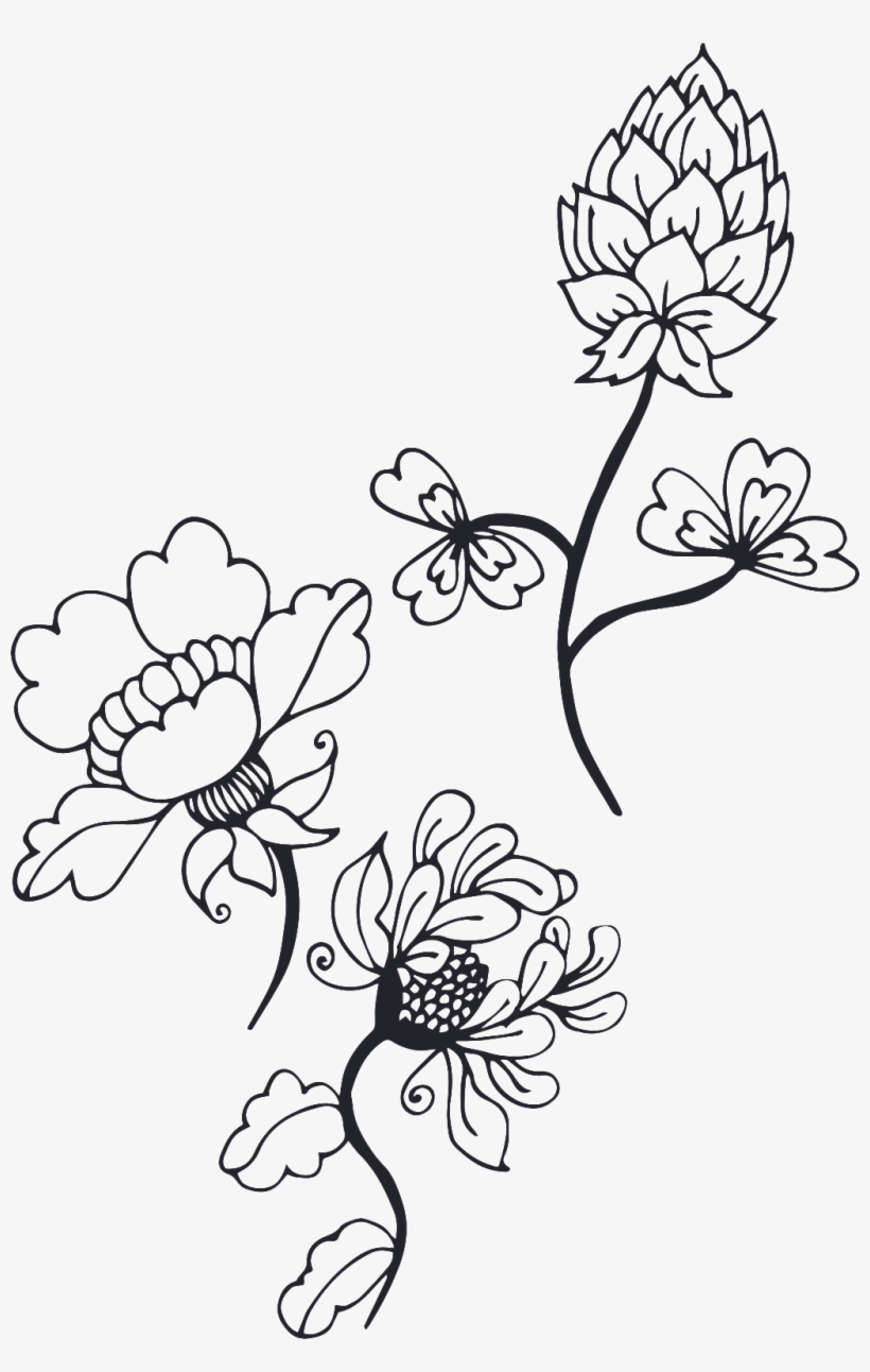 Black And White Fleshy Cartoon Transparent - Chrysanths, transparent png #5716361