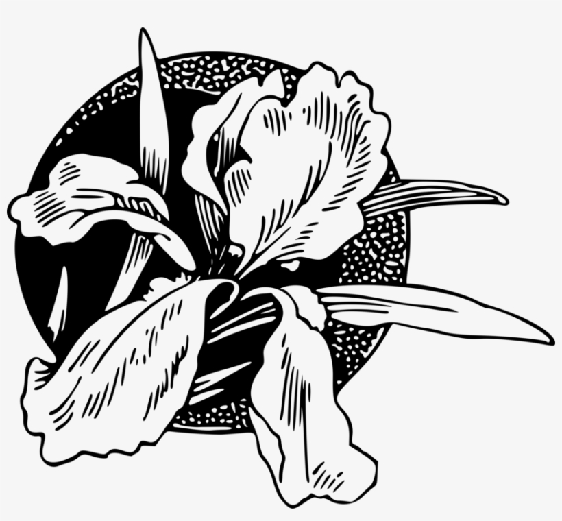Black And White Flower Petal - Png Cicek Siyah Beyaz, transparent png #5716371