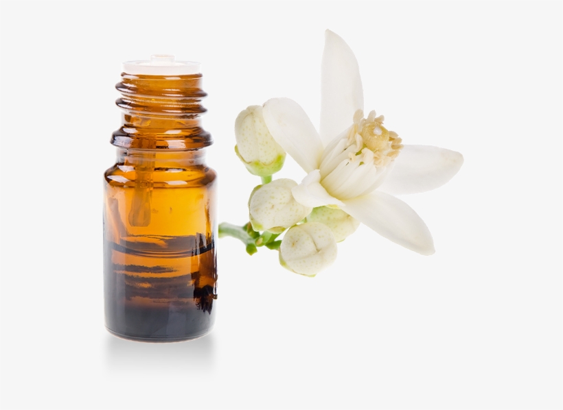Organic Neroli Essential Oil - Kerstin Florian Rehydrating Neroli Facial Oil, 1 Oz, transparent png #5716834