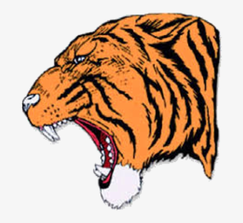 The Reeds Spring Wolves Defeat The Hollister Tigers - Hollister High School Tiger, transparent png #5720257