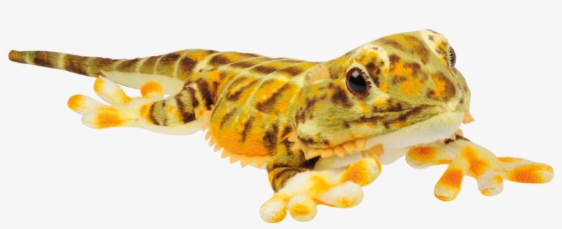 bearded dragon stuffed animal