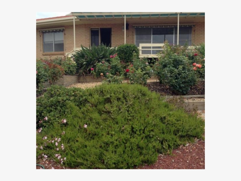 Home Overlooking The Mighty Murray River - Yard, transparent png #5721763