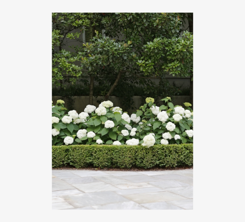 0892-0145 Copy, transparent png #5722071