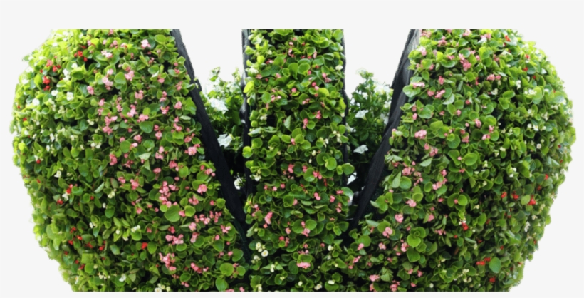 Crown-940x400 - Museum, transparent png #5722183