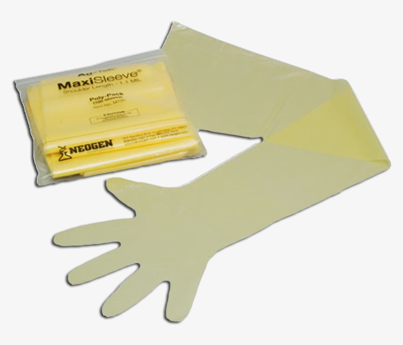 Fsm100 - Glove, transparent png #5724340