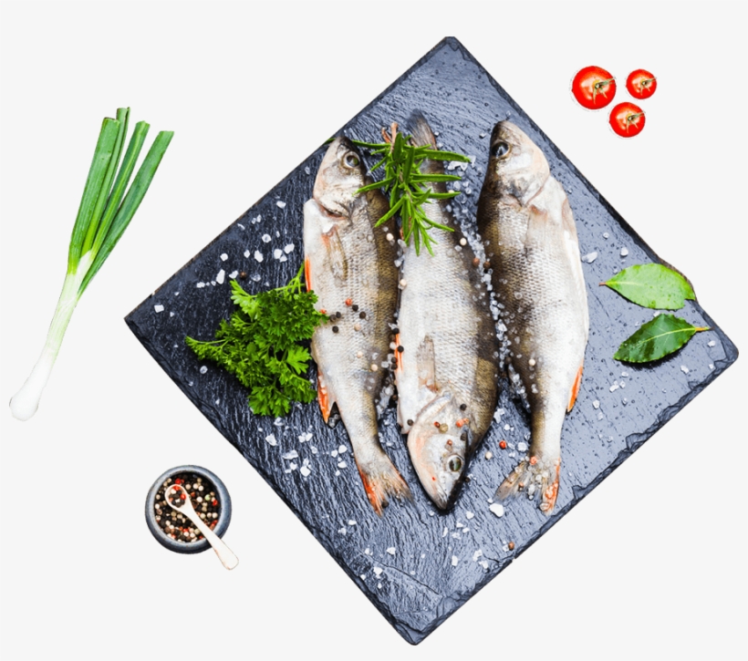 Mackerel - Design, transparent png #5726378