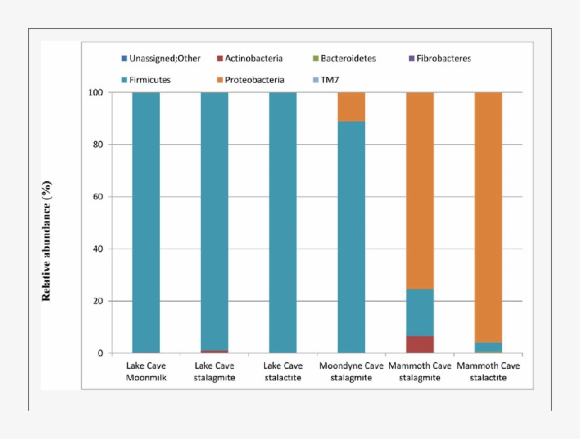 Bacterial Population Composition At Phylum Level In - Bacteria, transparent png #5726712