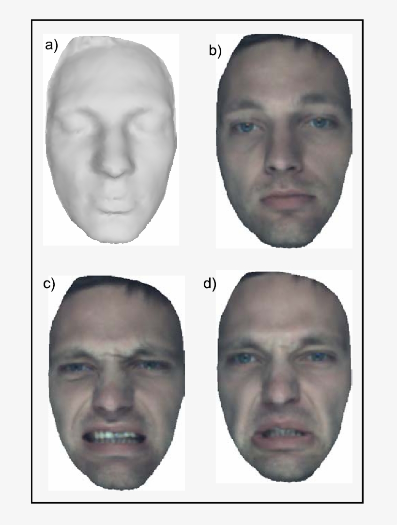 Face Normalization Examples For Different Expressions, - Collage, transparent png #5728954