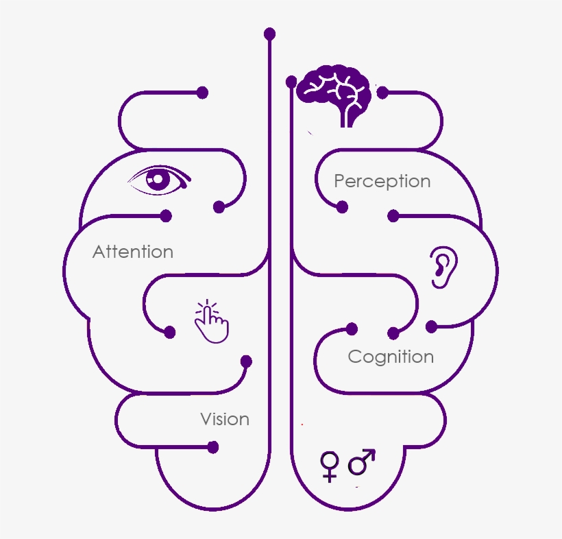 16 Feb - Brady Corp 142519 Neurology 10"h X 7"w (with Picto), transparent png #5731916