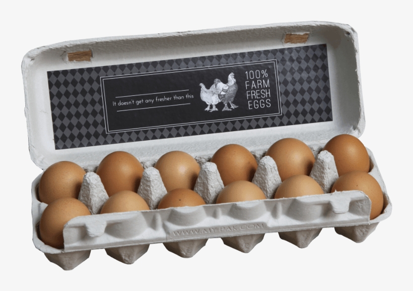 G2, Modern Design - Egg, transparent png #5732498