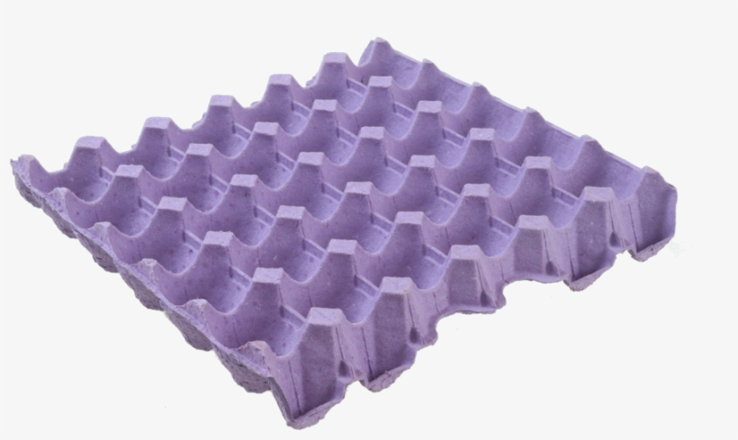 Cargo Egg Tray - Exercise Mat, transparent png #5732889