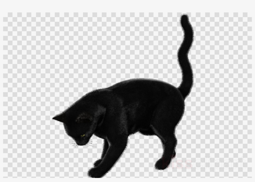 Cat Clipart Black Cat Bombay Cat Korat - Vector Graphics, transparent png #5734666